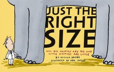 Just the Right Size: Why Big Animals Are Big and Little Animals Are Little - Davies, Nicola