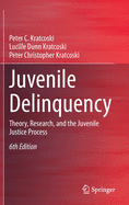 Juvenile Delinquency: Theory, Research, and the Juvenile Justice Process