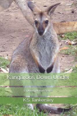 Kangaroos Down Under - Tankersley, K S