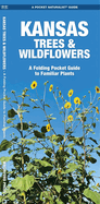 Kansas Trees & Wildflowers: An Introduction to Familiar Species
