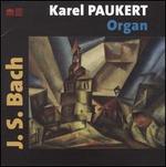 Karel Paukert Plays JS Bach