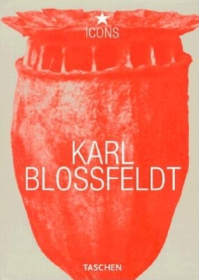 Karl Blossfeldt: 1865-1932 - Adam, Hans-Christian
