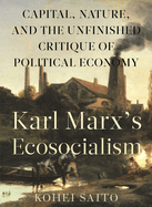 Karl Marx? (Tm)S Ecosocialism: Capital, Nature, and the Unfinished Critique of Political Economy