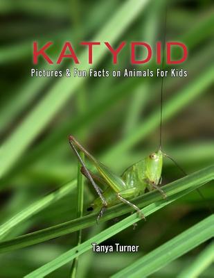 Katydid: Pictures & Fun Facts on Animals For Kids - Turner, Tanya