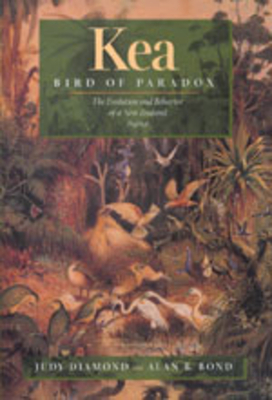Kea, Bird of Paradox: The Evolution and Behavior of a New Zealand Parrot - Diamond, Judy, and Bond, Alan B