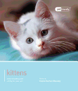 Kitten - Pet Friendly