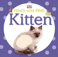 Kitten