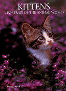 Kittens: A Portrait of the Animal World - Schneck, Marcus