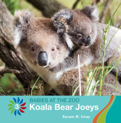 Koala Bear Joeys - Gray, Susan H