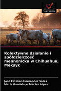 Kolektywne dzialanie i sp?ldzielczo c mennonicka w Chihuahua, Meksyk