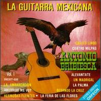 La Guitarra Mexicana - Antonio Bribiesca