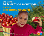 La Huerta de Manzanas/The Apple Orchard