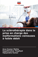 La scl?roth?rapie dans la prise en charge des malformations veineuses ? faible d?bit