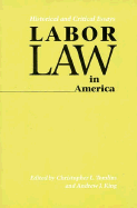 Labor Law in America: Historical and Critical Essays