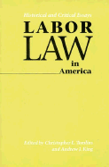 Labor Law in America: Historical and Critical Essays - Tomlins, Christopher (Editor), and King, Andrew J (Editor)