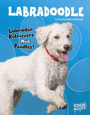 Labradoodle: Labrador Retrievers Meet Poodles! - Edwards, Sue Bradford