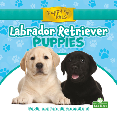 Labrador Retriever Puppies - Armentrout, David, and Armentrout, Patricia