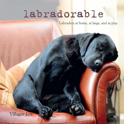 Labradorable: Labradors at Home, at Large, and at Play - Jim, Villager
