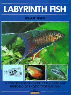 Labyrinth Fish - Pinter, Helmut