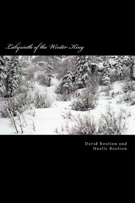 Labyrinth of the Winter King: An Epic Saga - Boulton, Noelle, and Boulton, David