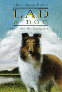 Lad: A Dog - Terhune, Albert Payson