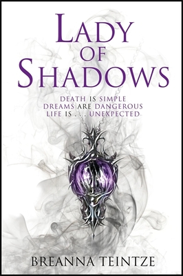 Lady of Shadows: A fantastical whodunit full of heart, plot, fun and magic - Teintze, Breanna