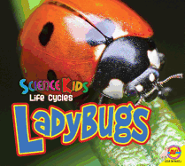 Ladybugs