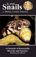 Land Snails of Belize, Central America: A Remarkable Chronicle of Diversity and Function