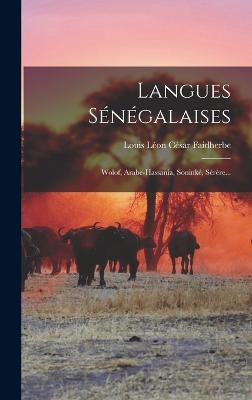 Langues Sngalaises: Wolof, Arabe-hassania, Sonink, Srre... - Louis Lon Csar Faidherbe (Creator)