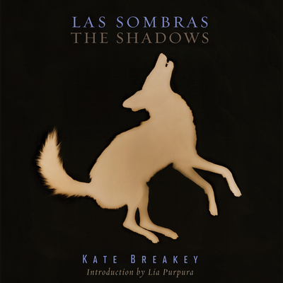 Las Sombras/The Shadows - Breakey, Kate, and Purpura, Lia (Introduction by)