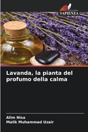 Lavanda, la pianta del profumo della calma