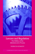 Lawyers and Regulation: The Politics of the Administrative Process