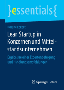 Lean Startup in Konzernen Und Mittelstandsunternehmen: Ergebnisse Einer Expertenbefragung Und Handlungsempfehlungen