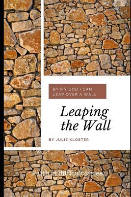 Leaping the Wall: Faith in Difficult Times - Kloster, Julie