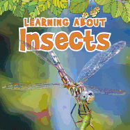 Learning about Insects