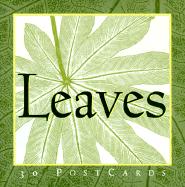 Leaves Postcards