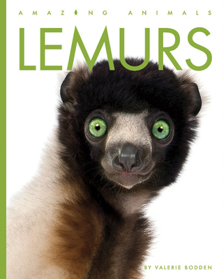 Lemurs - Bodden, Valerie