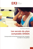 Les secrets du plan comptable OHADA