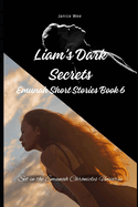 Liam's Dark Secrets: Emunah Short Stories Book 6