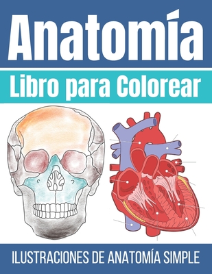 Libro para Colorear Anatoma: Ilustraciones Simples para Colorear - Press, Bee Art