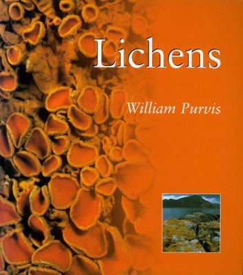 Lichens: Lichens - Purvis, William