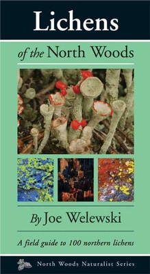 Lichens of the North Woods - Walewski, Joe