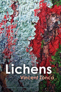 Lichens: Toward a Minimal Resistance