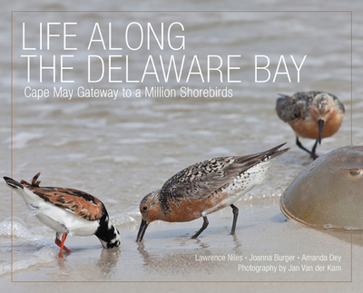 Life Along the Delaware Bay: Cape May, Gateway to a Million Shorebirds - Niles, Lawrence, and Burger, Joanna, Dr., PhD, and Dey, Amanda