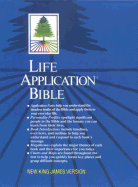 Life Application Bible