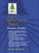 Life Application Bible