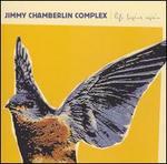 Life Begins Again - The Jimmy Chamberlin Complex