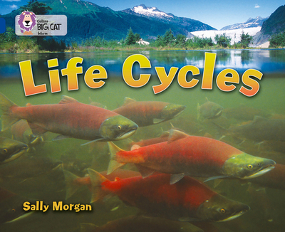 Life Cycles: Band 16/Sapphire - Morgan, Sally, and Collins Big Cat (Prepared for publication by)