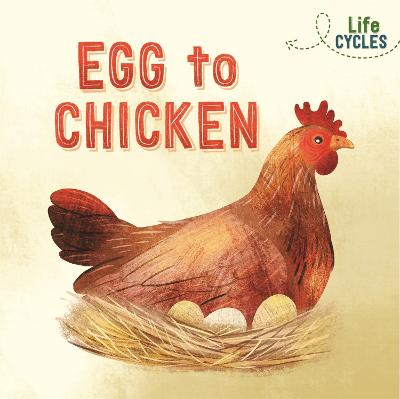 Life Cycles: Egg to Chicken - Tonkin, Rachel