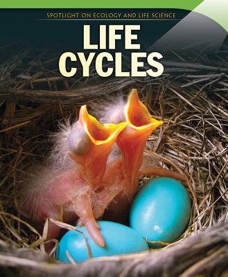 Life Cycles - Buellis, Linda